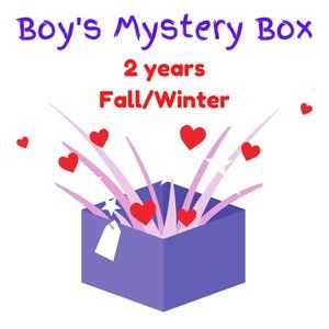 Boy's Mystery Box (size 2T)